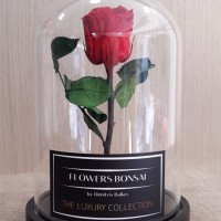 Forever Roses - Τριαντάφυλλα σε γύαλα