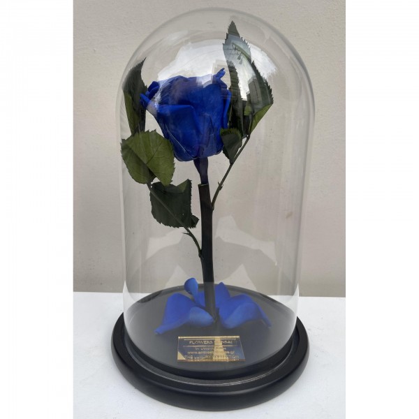 Forever Rose μπλε- Τριαντάφυλλο σε γυάλα μπλε