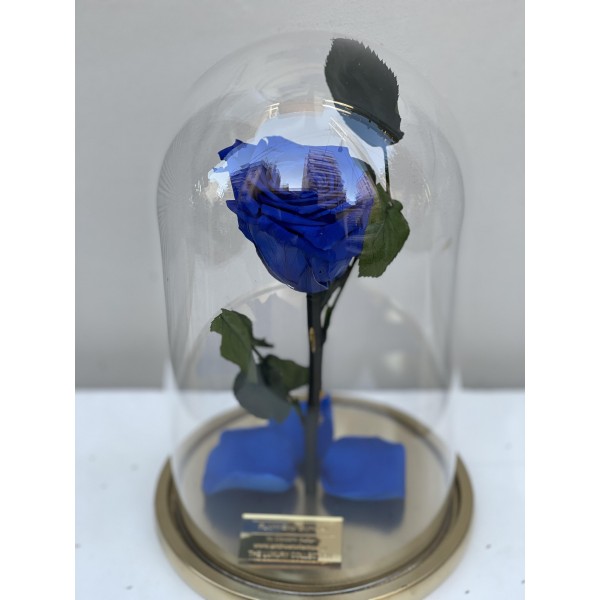 Forever rose blue-Μπλε τριαντάφυλλο σε γυάλα που διαρκεί 3-5 χρόνια 