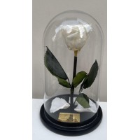 Τριαντάφυλλο σε γυάλα - Forever rose άσπρο