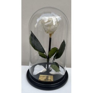 Τριαντάφυλλο σε γυάλα - Forever rose άσπρο