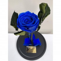 Forever Rose μπλε- Τριαντάφυλλο σε γυάλα μπλε