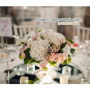 Elegant Διακόσμηση τραπεζιών στο Κτήμα Γαλάζιο με λευκές ορτανσίες και ροζ τριαντάφυλλα